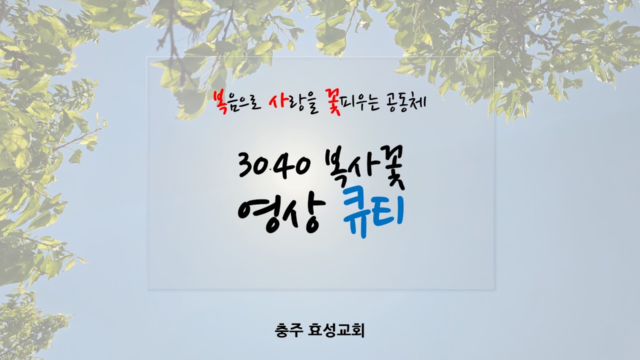 복사꽃, 26. 3. 8 영상 큐티