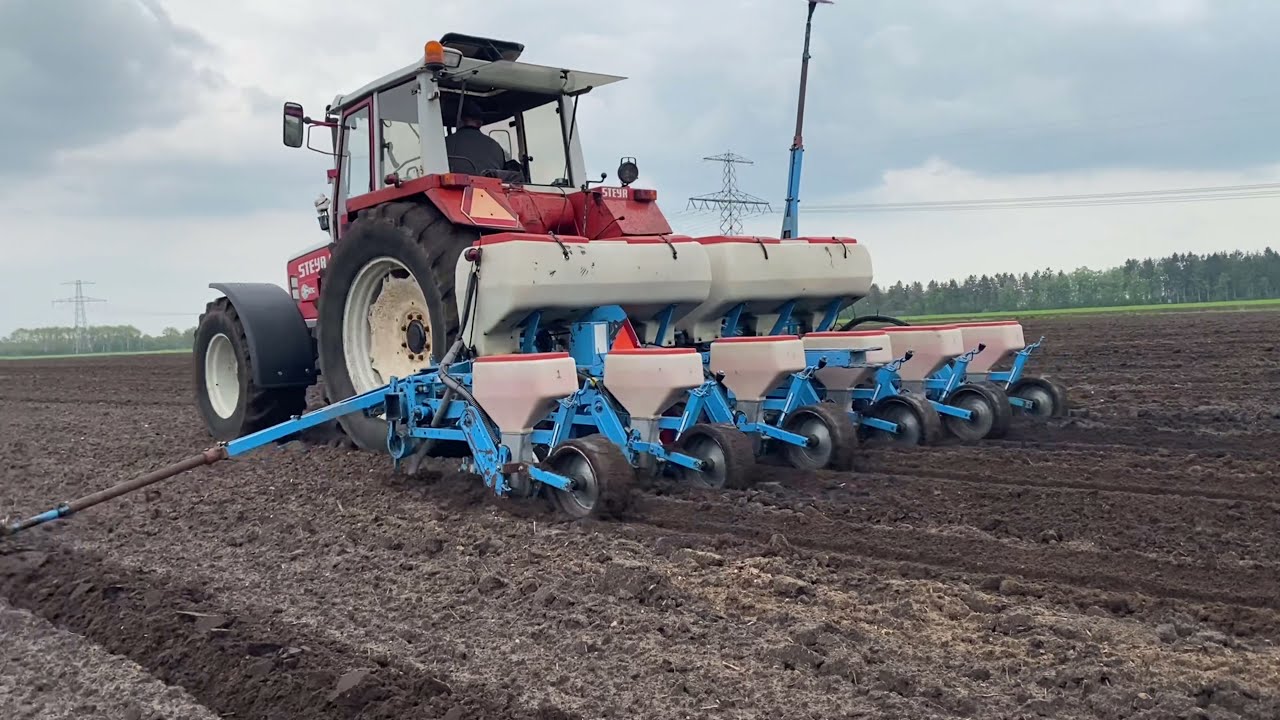 Steyr 8090 met Monosem maiszaaier 2021 // Mais mit Monosem 6 Reihe säen