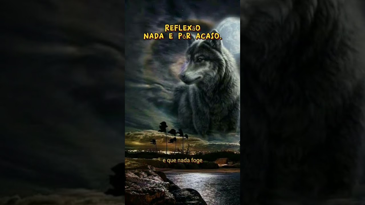 @uma excelente frase de reflexão pra você