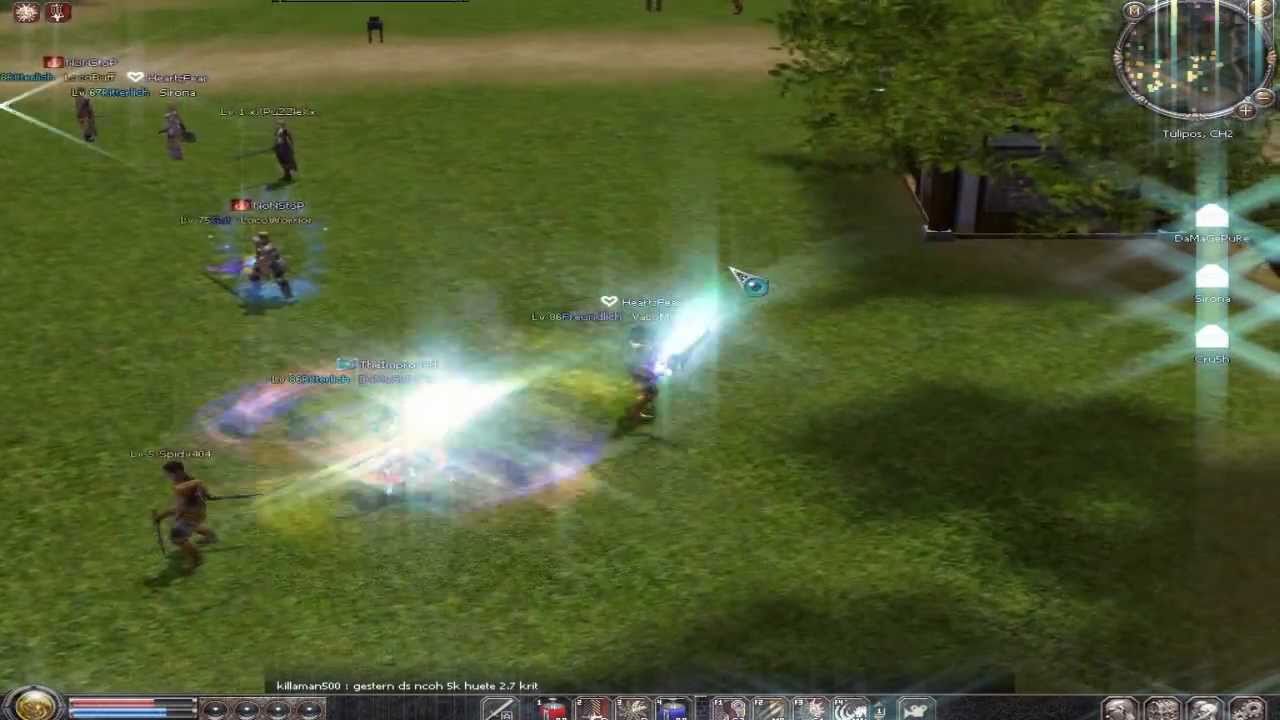 Metin2 Tulipos VaLoM vs. die besten Krieger PvP