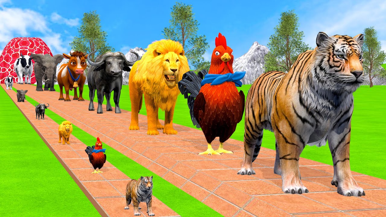 Long Slide Game With Cow Elephant Gorilla Hippopotamus Tiger - 3d Animal Game - Funny 3d Animals