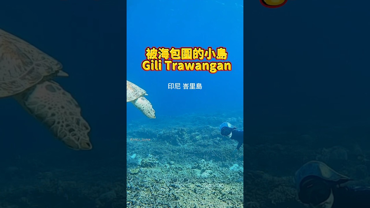 印尼 峇里島的離島Gili T，來看看在這邊能做些什麼吧～～