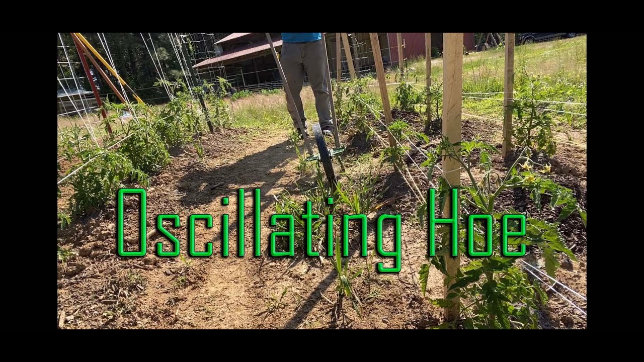 Hoss Tools Single Wheel Hoe Weed Removal