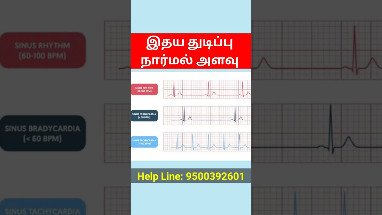 heart pulse rate normal range tamil #shorts