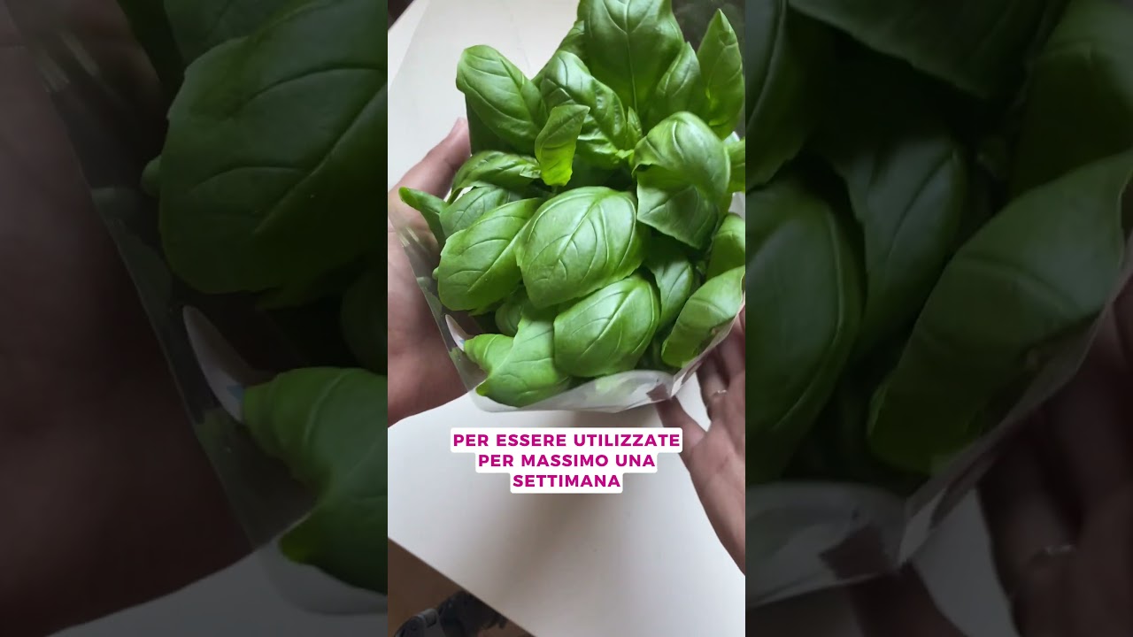 Perch&eacute; dividere il basilico acquistato al supermercato? #basilico #gardening #plants #shorts #viral