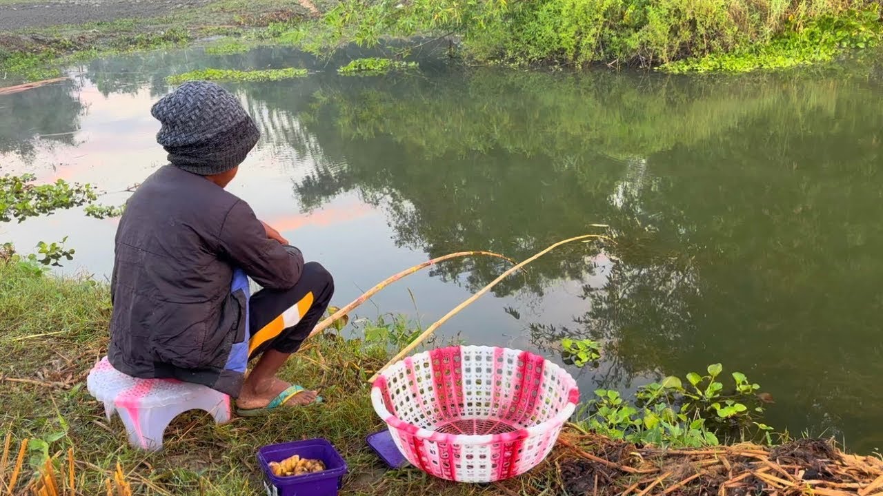 Fishing video ep-52 | Smart Boy is fishing with a hook in the rice field canal | Hook fishing video