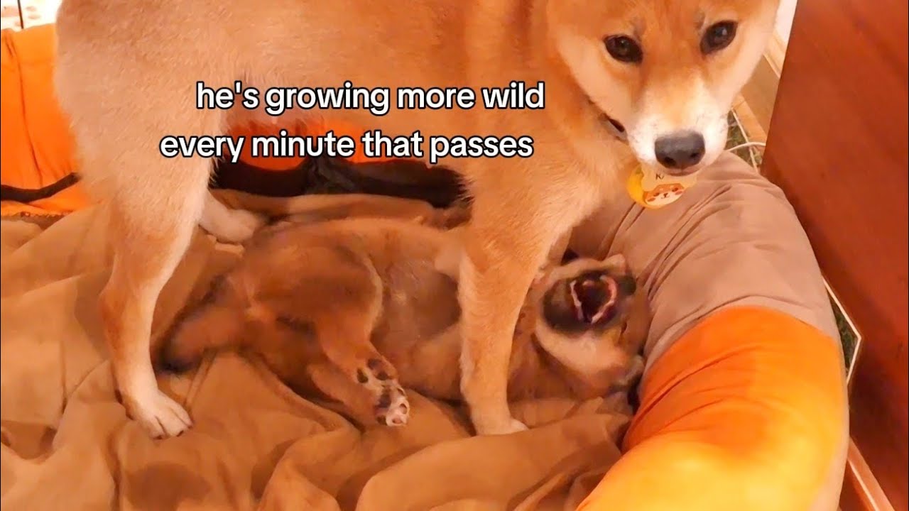 last fight with mom before going to bed!