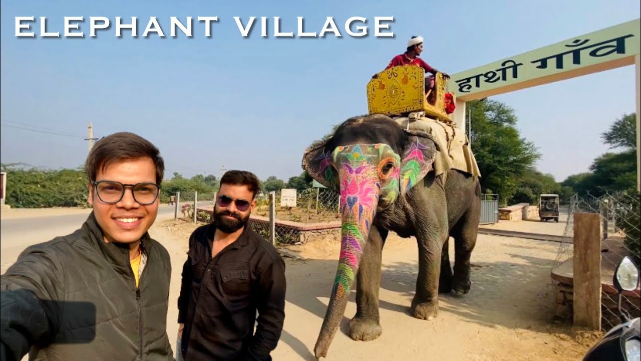 Elephant Village Jaipur 🐘 | Hathi Gaon Jaipur