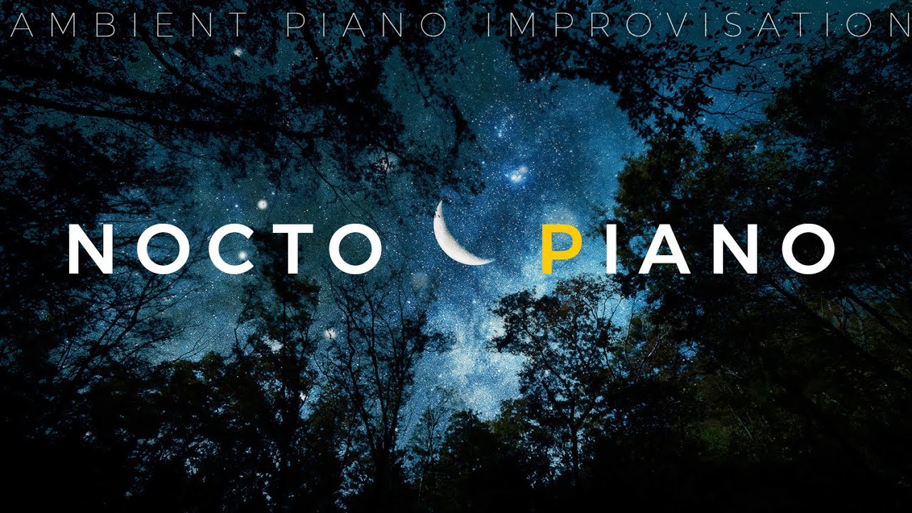 【アンビエント・空間音響】NOCTO PIANO〜夜の森に響くスピリチュアルなピアノ〜 Yumi Nanatsutani｜自然音・4K映像