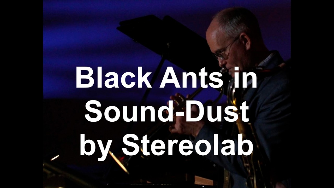 Live Looping & Trumpet Improv on 'Black Ants in Sound-Dust' by Stereolab