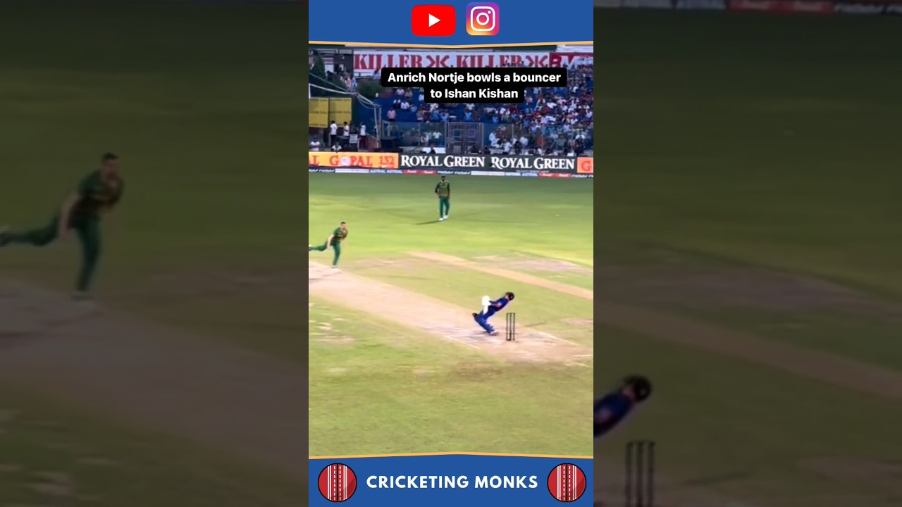 Anrich nortje perfect 👌 bouncer #cricket #msdhoni