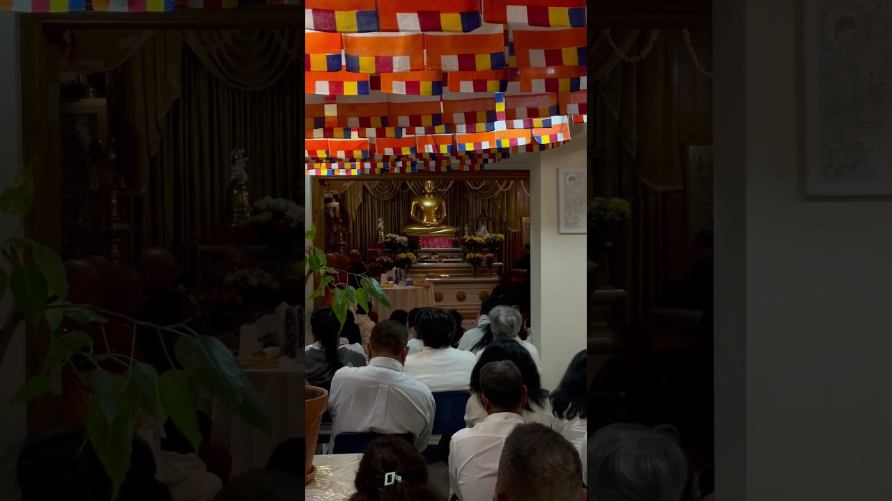 Redbridge Buddhist cultural centre katina Ceremony 2023 | Please subscribe #shortvideo #shorts #fyp