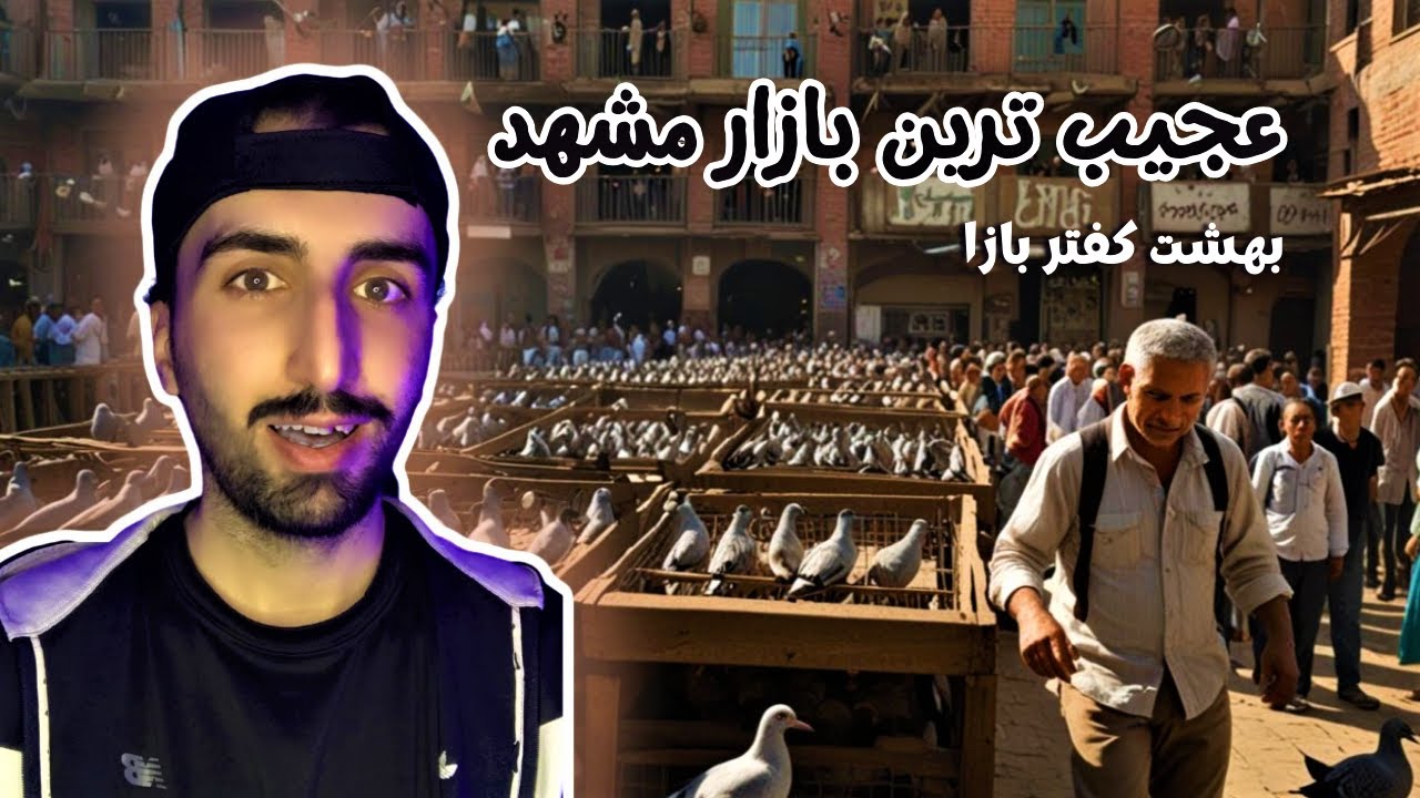 اینجا بهشت واقعی کفتربازهاست|The Ultimate Paradise for Pigeon Lovers