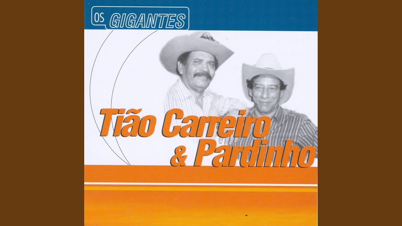 Menino da porteira