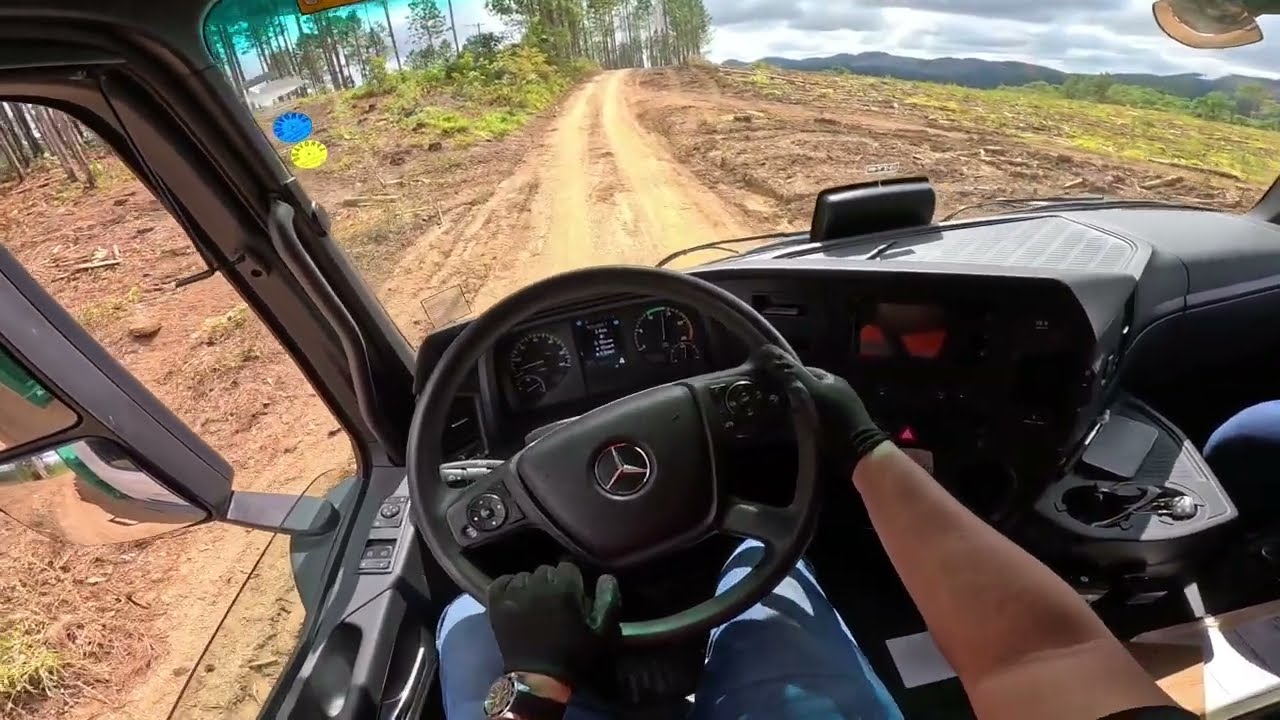 Condução técnica com florestal.