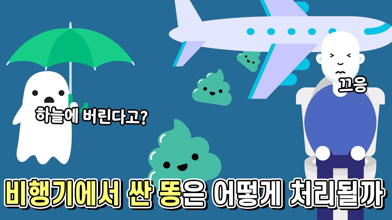비행기 화장실에서 만들어진 오물은 어떻게 처리될까