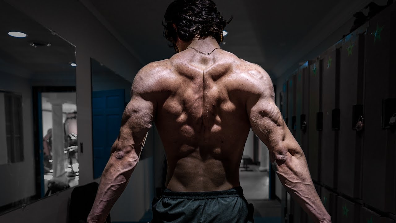 FULL BACK WORKOUT | The BEST Exercises for Aesthetics