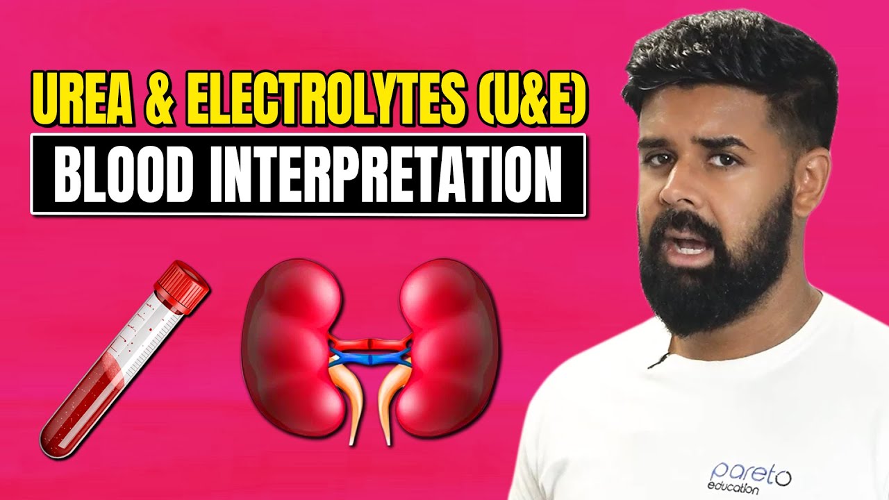 Urea & Electrolytes (U&E) Blood Interpretation | Pareto Education