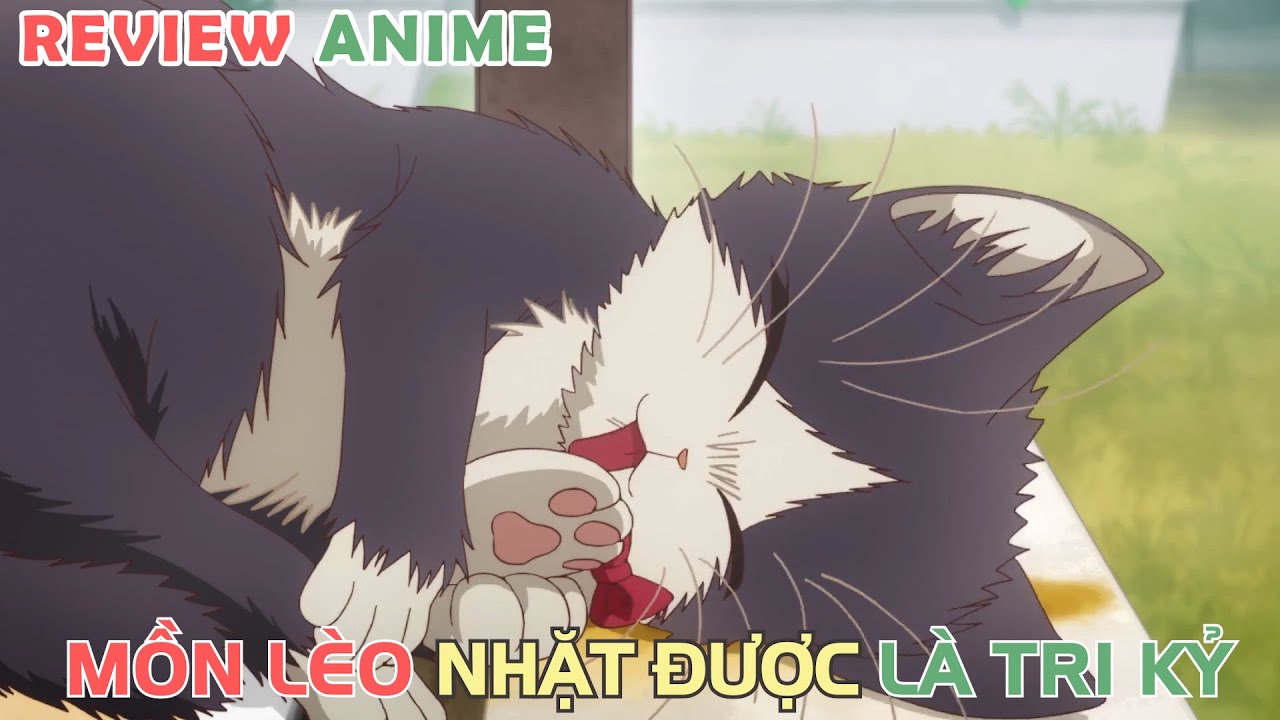 Nhặt Được Chú Mèo Hoang, Tôi Như Gặp Được Tri Kỷ | REVIEW PHIM ANIME HAY