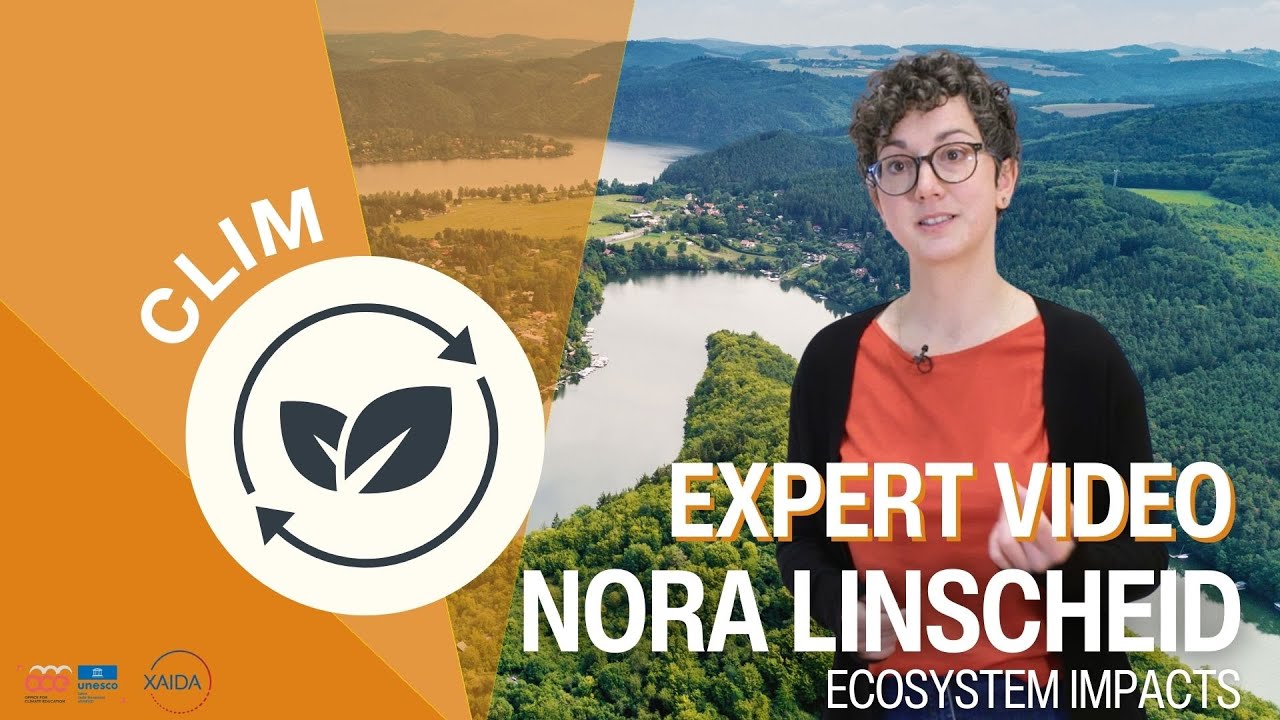 Ecosystem impacts explained by Nora Linscheid | CLIM