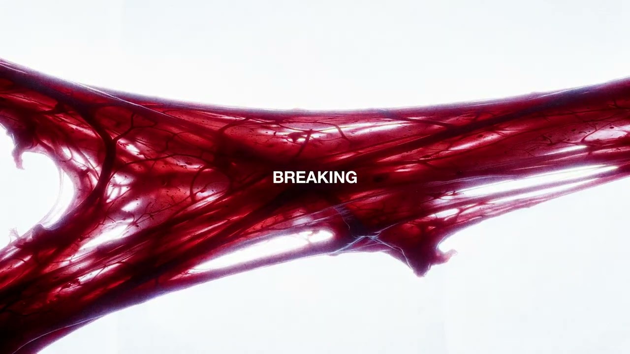 b&oslash;dyWash. - puLL [Official Lyric Video]