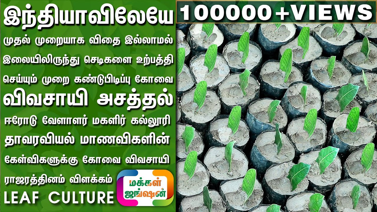 இந்தியாவிலேயே முதல் முறையாக இலை வழி நாற்று உற்பத்தி தொழில் நுட்பம் கண்டுபிடிப்பு|மக்கள் ஜங்ஷன்|LEAF