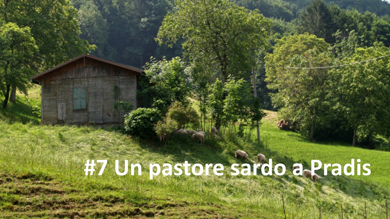 7. Un pastore sardo a Pradis