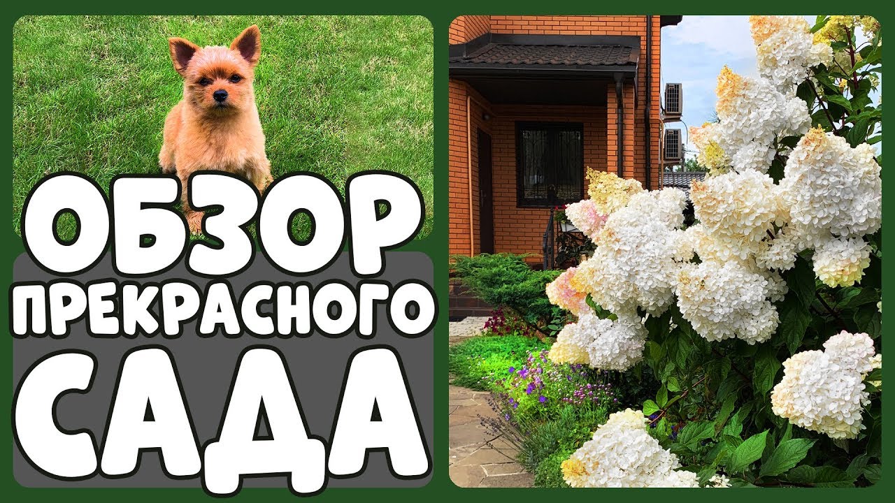 НА ЭТО СТОИТ ВЗГЛЯНУТЬ! Райский сад Людмилы Кудасовой 🌸