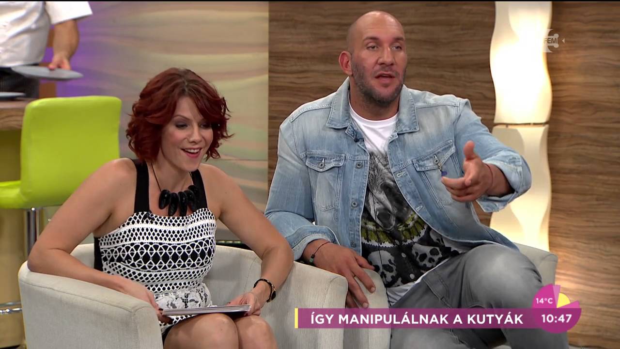Így manipulálnak a kutyák - tv2.hu/fem3cafe