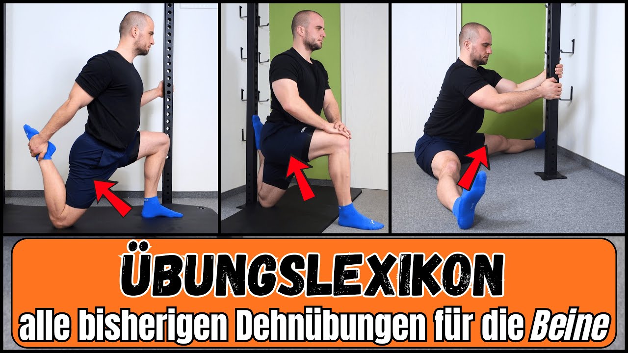 Beinvorder-, -rück- & -innenseite, Hüftbeuger & Gesäß - Übungslexikon Dehnübungen für die Beine