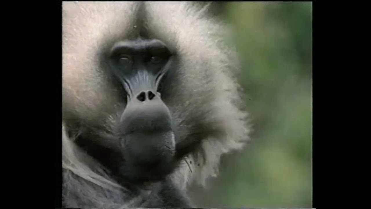 VIASAT3 - Reklámok, ajánlók - 2001