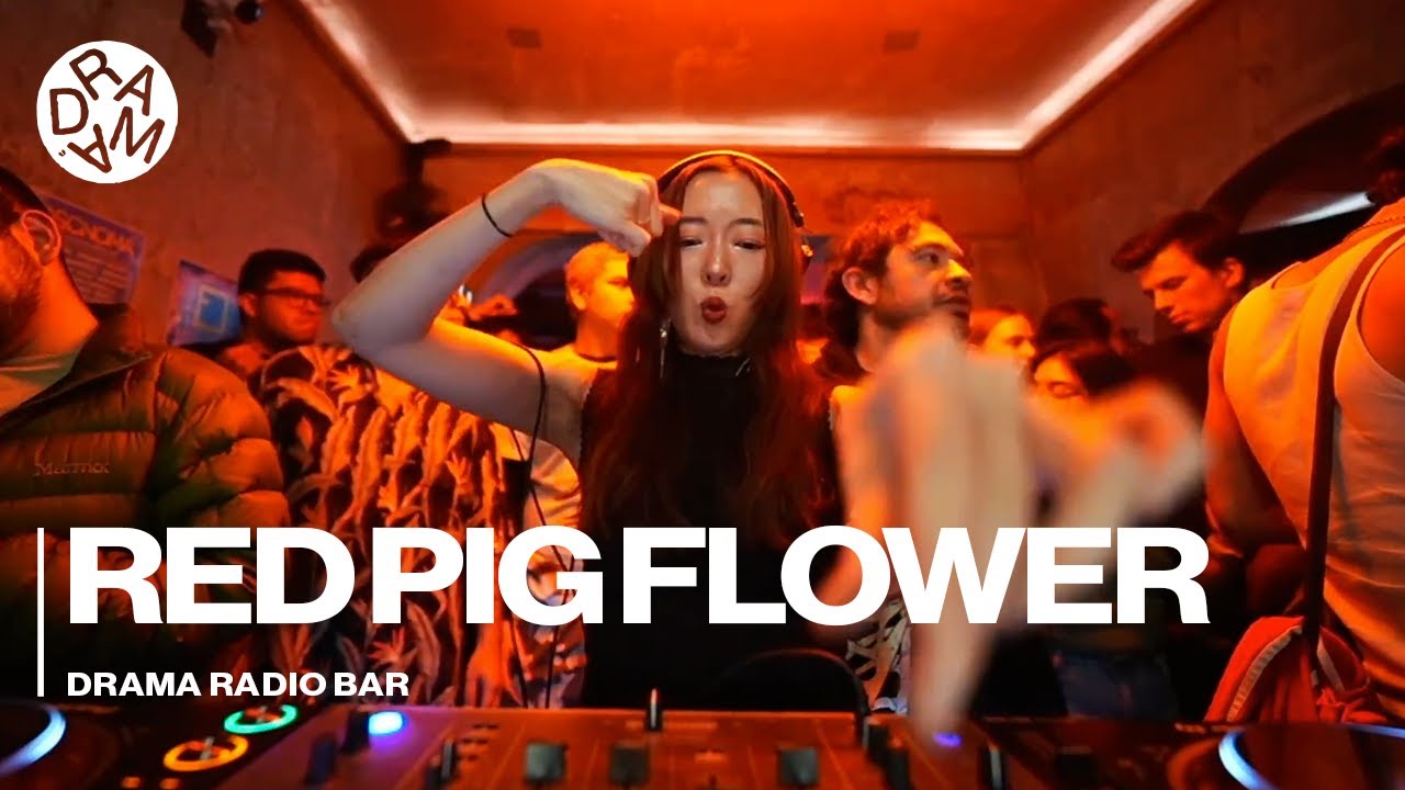 Red Pig Flower ⁨@DramaRadioBar &middot; Nov 15 2025