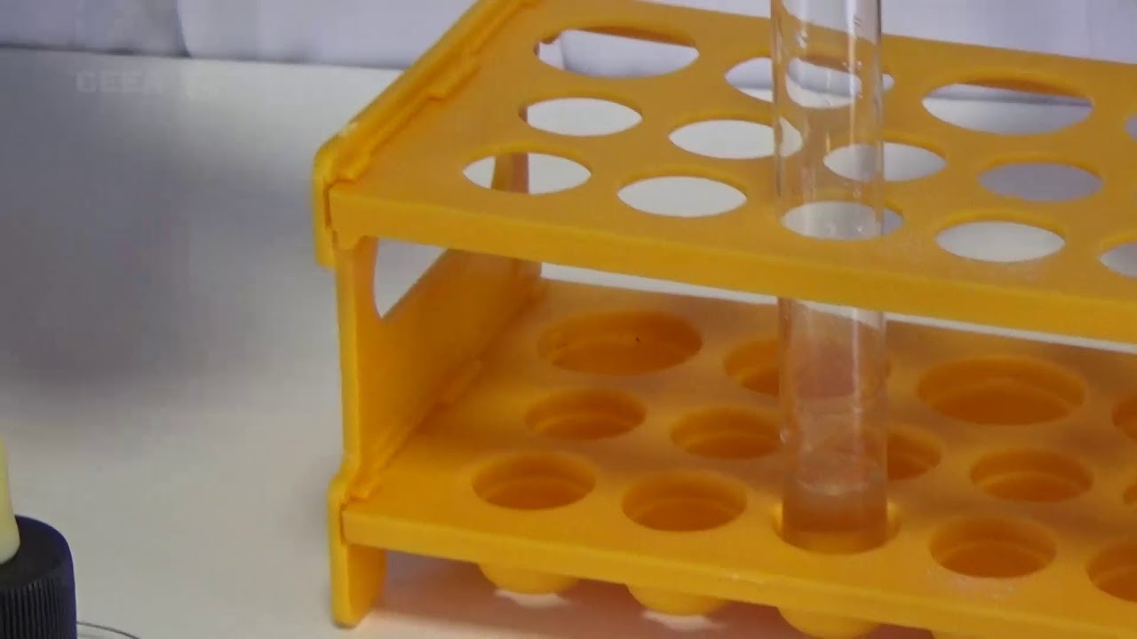 SOLUBILIZATION OF HYDROPHOBIC AMINO ACIDS