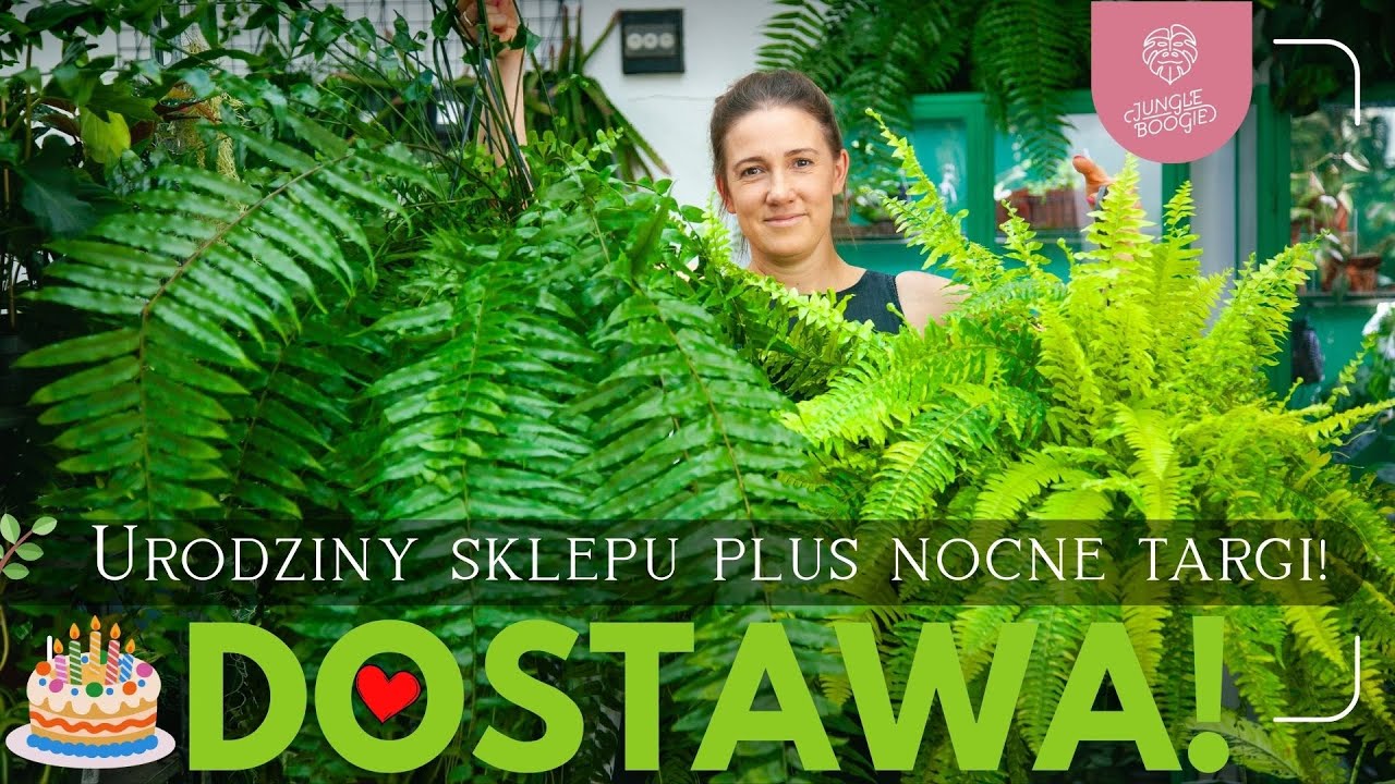Nocne Targi + Nowa Dostawa 🌿🌙 Zobacz co przyjechało do Jungle Boogie!