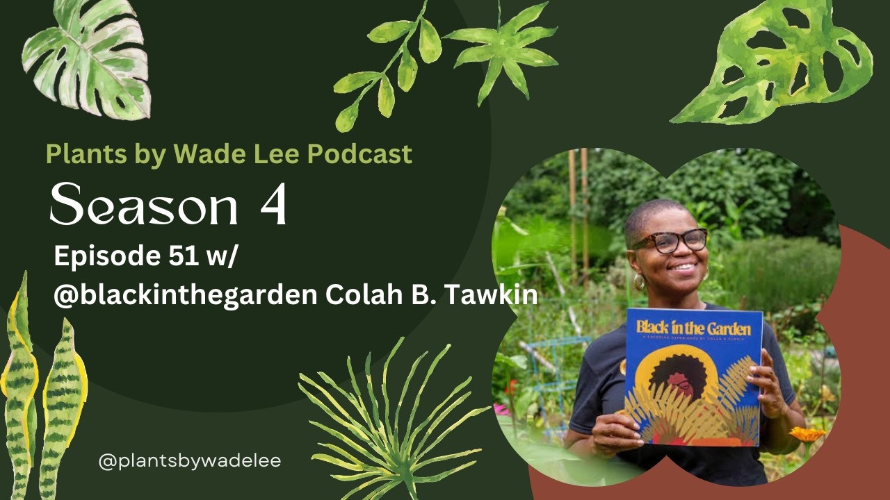 Episode 51 w/ @blackinthegarden Colah B. Tawkin