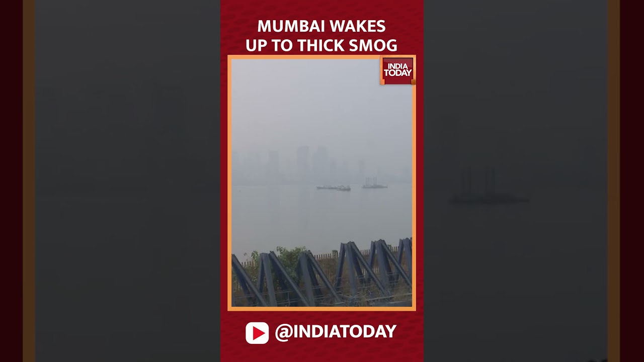 Watch Video: Mumbai Wakes Up To Thick Smog As AQI Worsens