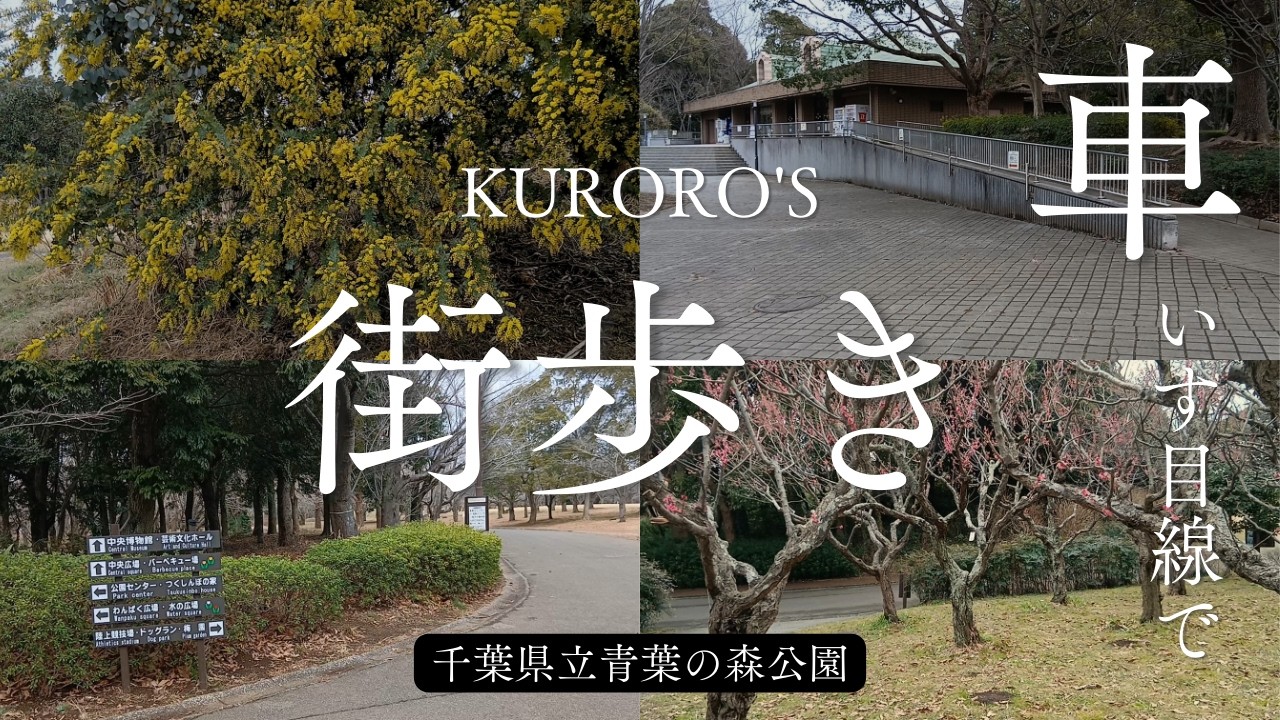 【車いす街歩き】2026年2月17日(火)　立春迎えた青葉の森公園を歩く（中編）　公園西口～ネコ庭園～ミモザ～梅園～河津桜～青葉の森芸術文化ホール
