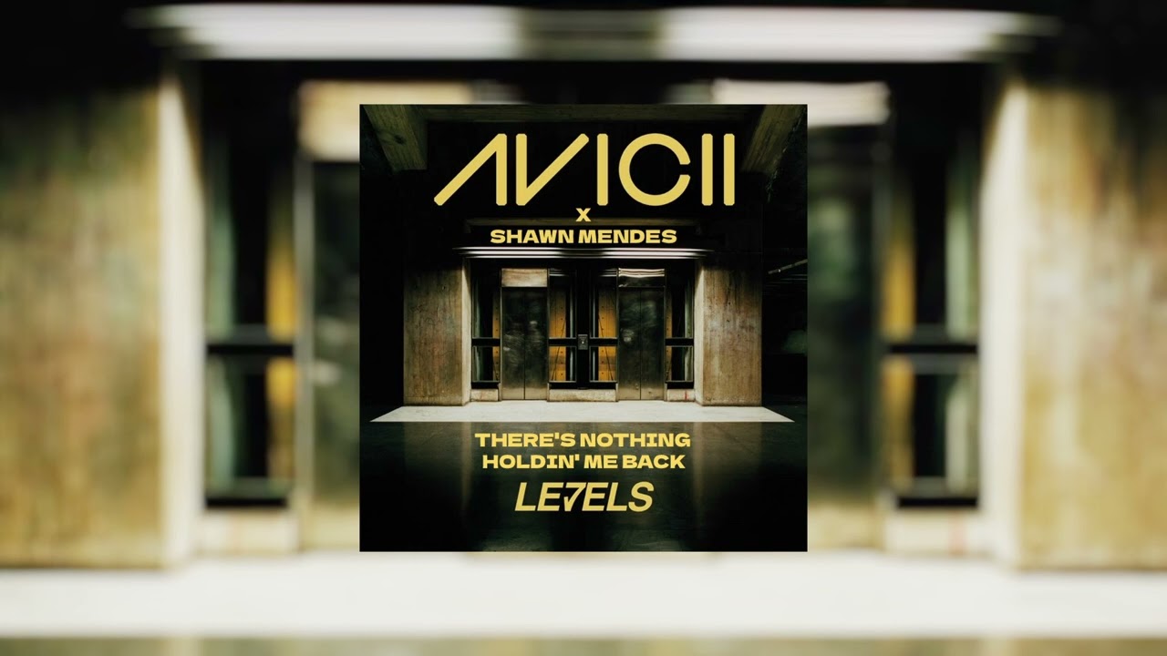 WILMER - Levels X There's Nothing Holdin' Me Back (Mashup)