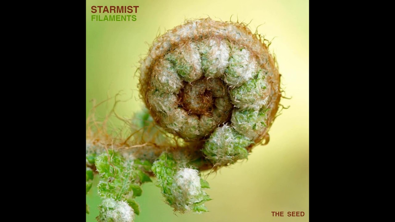 Starmist - Filaments (Josh Holiday's Acid Ignition Remix)