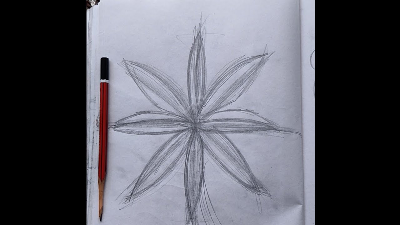 Flower drawing 