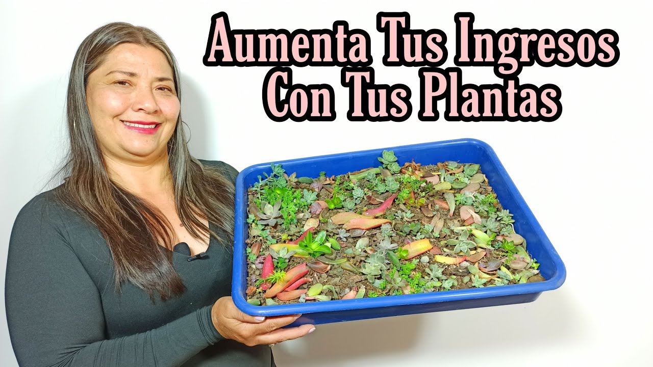 Gana Dinero Con Tus PLANTAS DESDE CASA