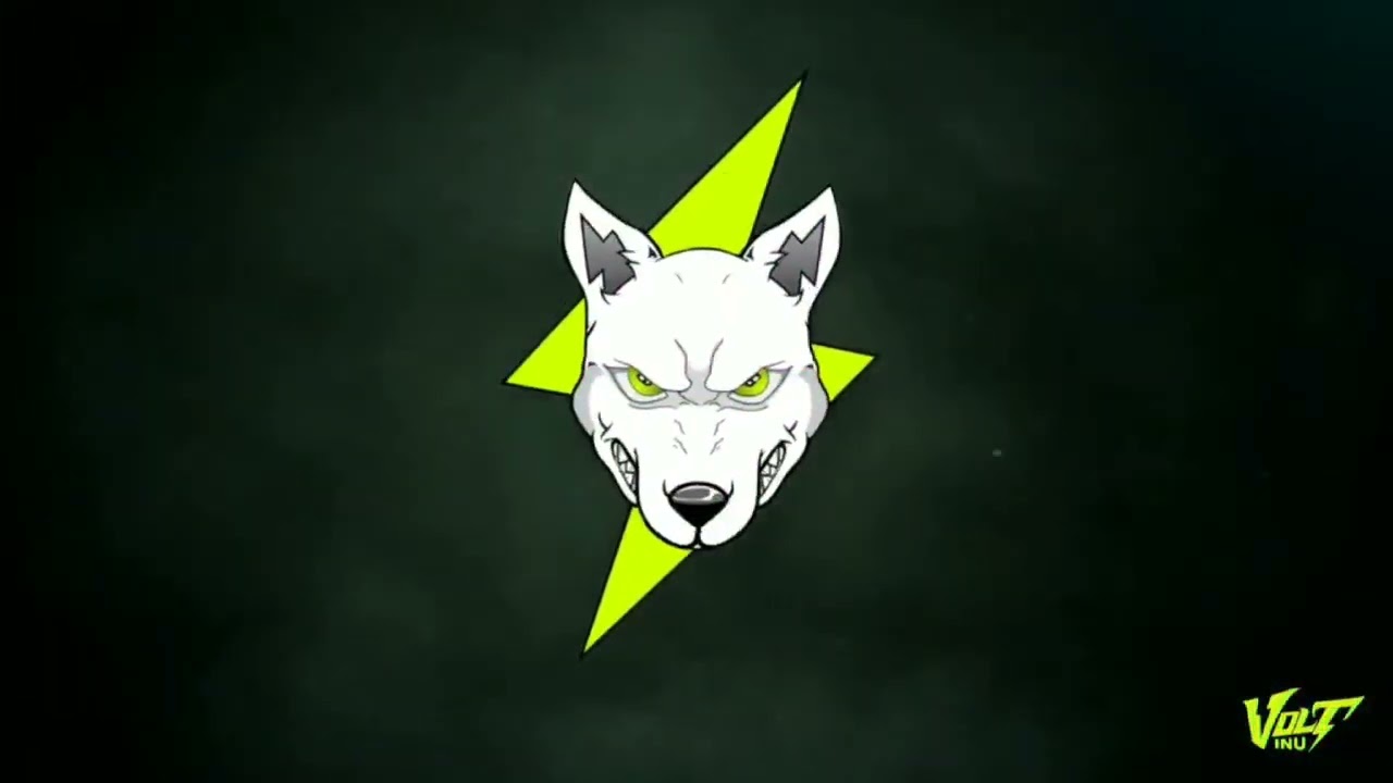The Message #voltinu #vdscdragons #voltarmy #voltoshi