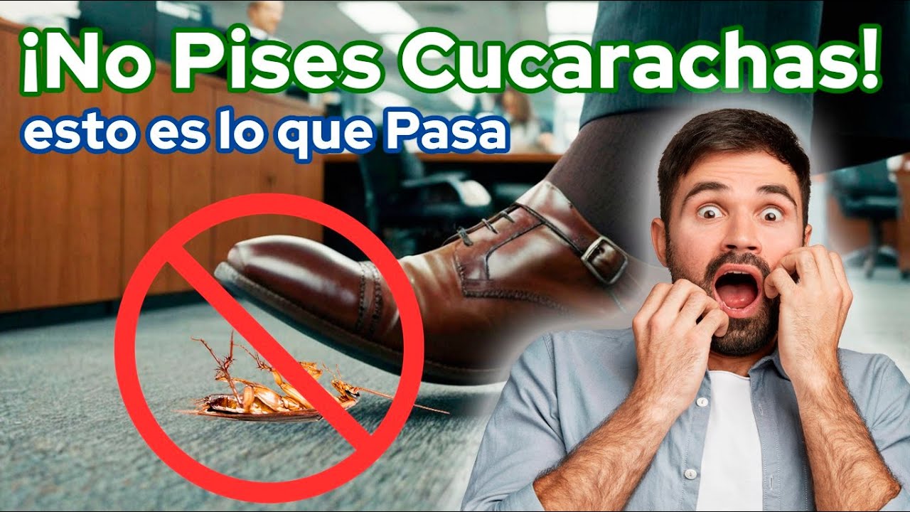 ¡Nunca Pises una Cucaracha! Descubre los Peligros Ocultos de Aplastar Este Insecto 😱😱😱