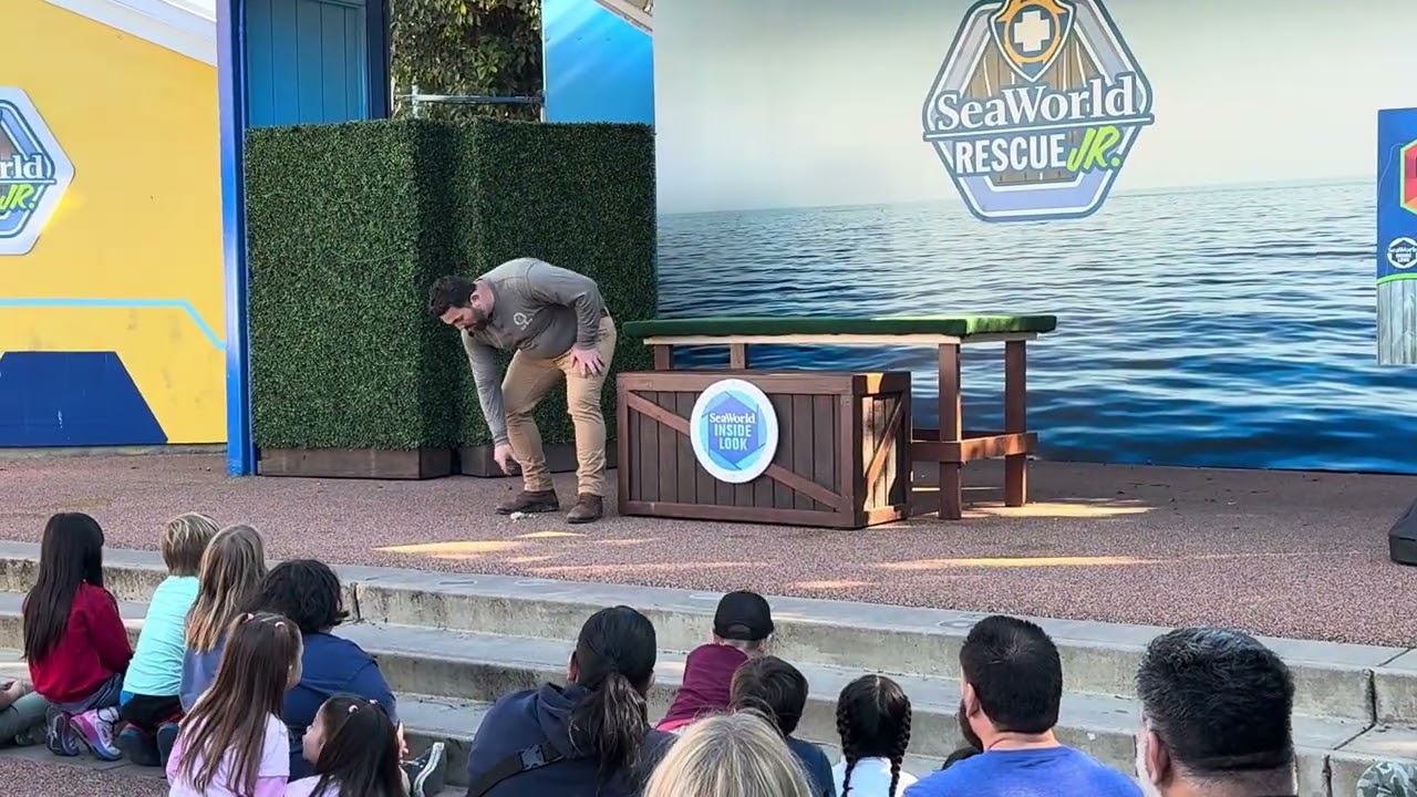 Cappie Berra Rescue Pals Inside Look SeaWorld San Diego 2026 