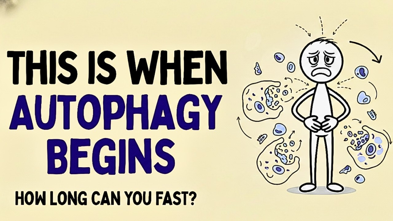 Science Explained: How Long Could You Fast Before Triggering Autophagy?
