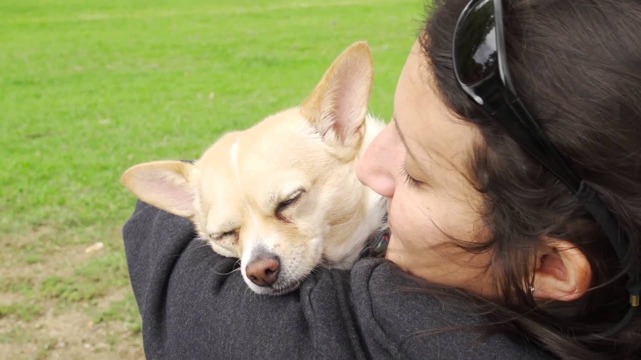 Carribean vet made an unexpected move to Hamilton, New Zealand and loves the balance she has.