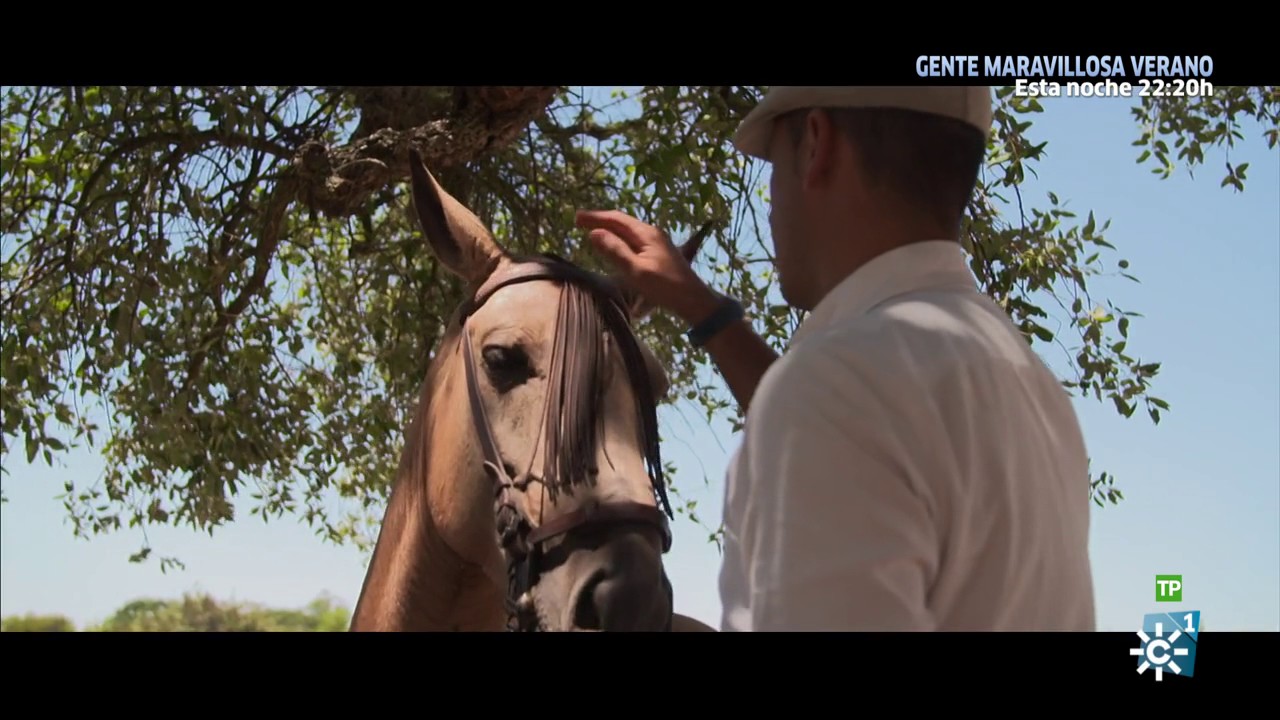 Al Sur del Tiempo | Parque Doñana Huelva (Saca de las yeguas)