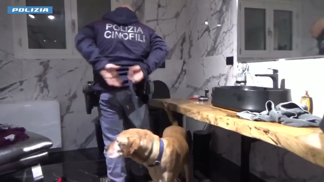 Droga e armi: blitz contro la Sacra Corona Unita. Arrestate persone tra Brindisi e Lecce