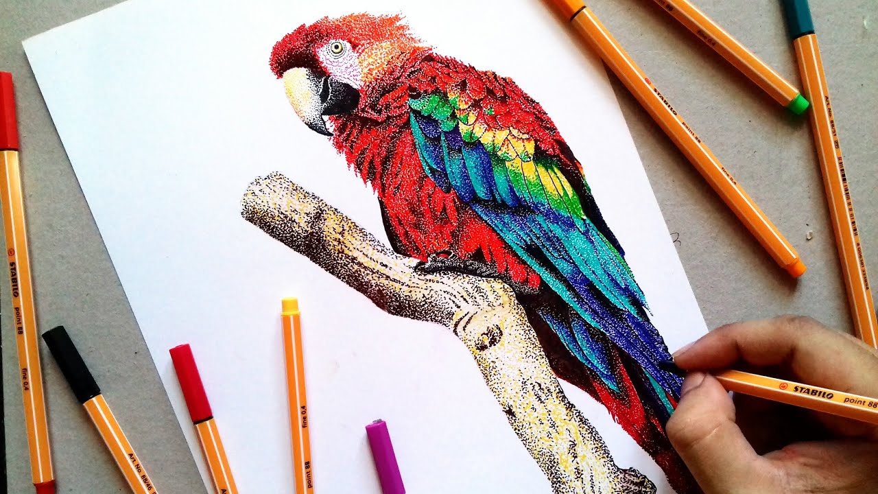 Colour stippling of Macaw|Pointilism |Parrot drawing| Realistic Parrot with Colour Fineliners