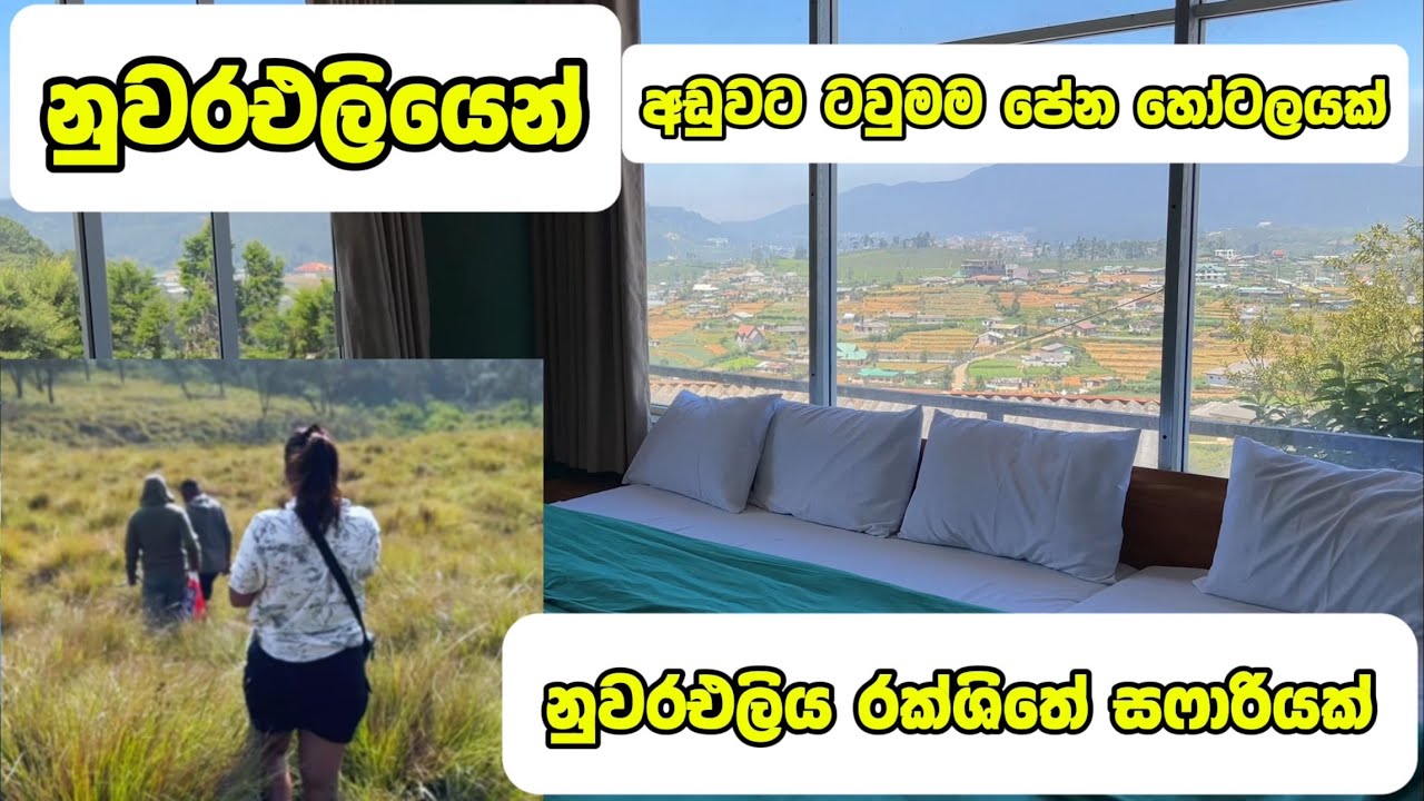 මෙච්චර අඩුවට නුවරඑලිය City View Rooms 😱 ඔයා Nuwaraeliye යනවනම් මේක අනිවාරෙන්ම බලන්න